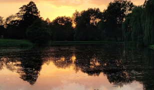 Radziejowice